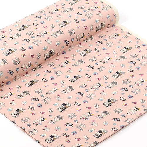 Funny Cats Idol Fan Club 3