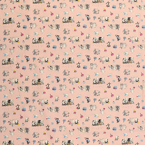 Funny Cats Idol Fan Club 4