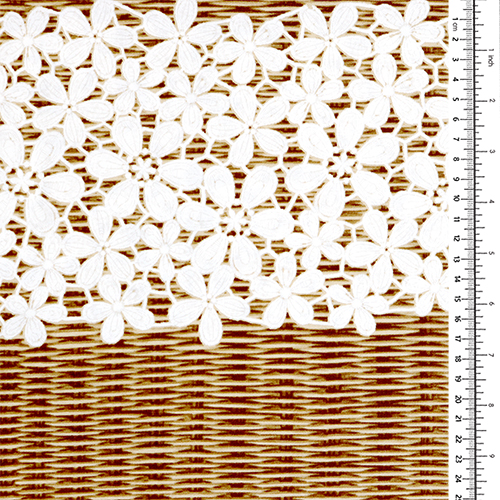 Bordure en dentelle Tissage en panier 1