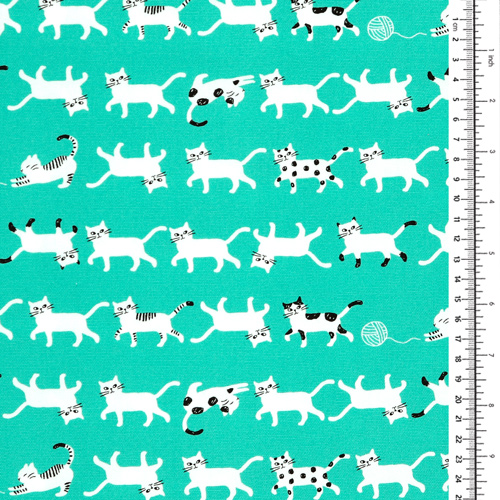 Gatti bianchi che camminano Simply Pallet 1