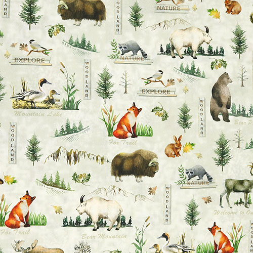 Crature Des Bois Sentier Naturel Tissu par Michael Miller