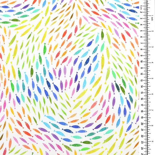 Un Poisson Deux Poissons Coloré Aquatique 1