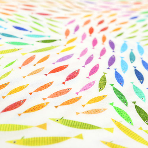 Un Poisson Deux Poissons Coloré Aquatique 5