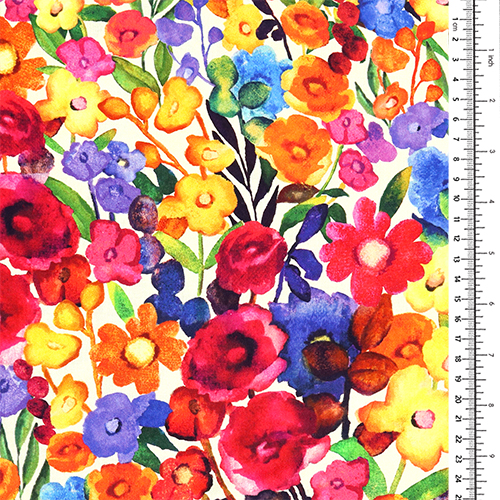 Bold Blooms Colourful Flowers 1