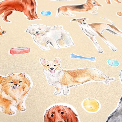 Hundespielzeit Bleib Positiv 5