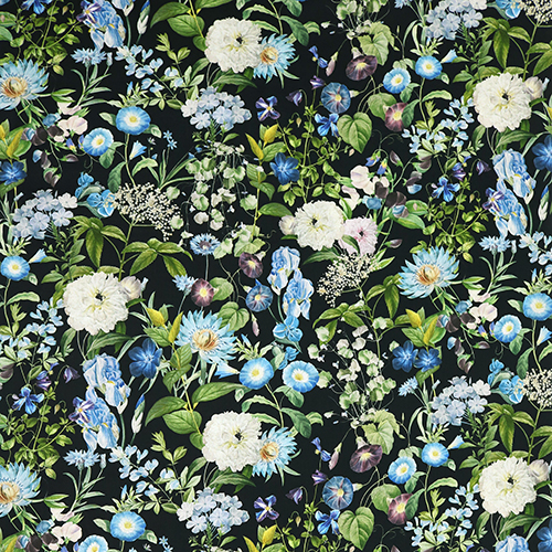 Belles Fleurs Jardin Botanique 4