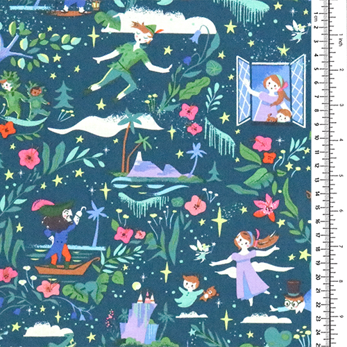 L’Île D’Aventure De Peter Pan Pour Toujours Au Pays Imaginaire 1