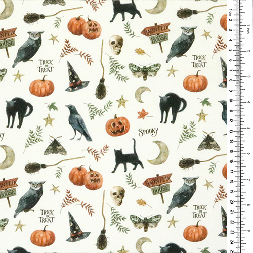 Halloween Effrayant Automne Des Bonbons Ou Un Sort 1