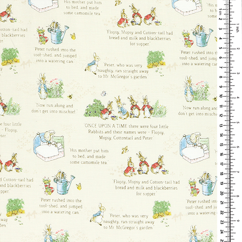 The Tale Of Peter Rabbit Text-Geschichtenbuch 1