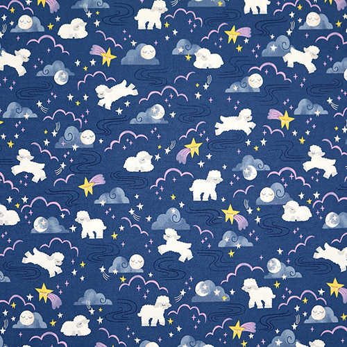 Nighttime Sky Lullaby Twinkle Little Star