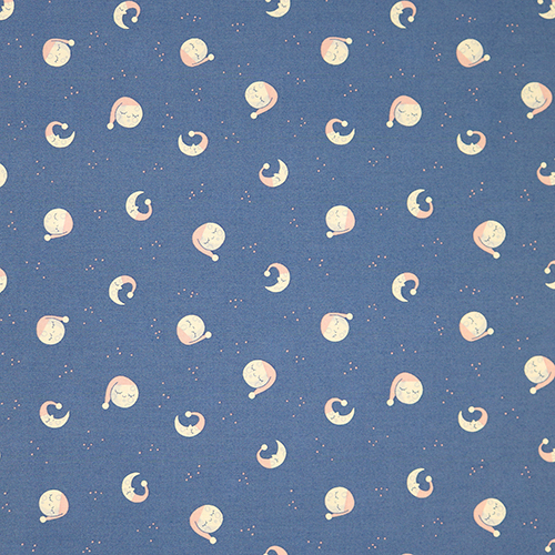 Goodnight Sleepy Moon Twinkle Little Star