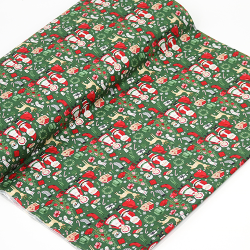 Santa & Mrs. Claus Green Charming Christmas 3