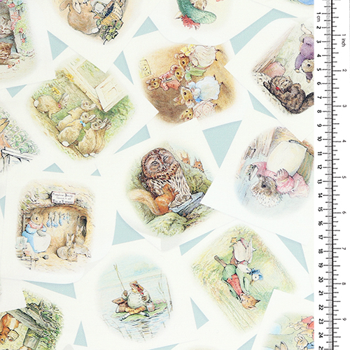 Peter Rabbit & Friends Hauptbuchseite Illustration 1
