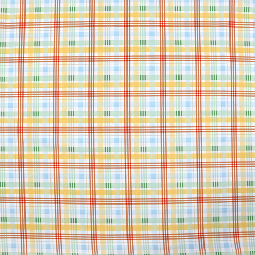 Winnie L’Ourson À Carreaux Multicolore 4