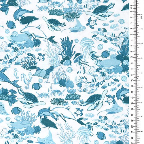 R�cif Vie Oc�an Dauphins Poisson Corail Sarcelle 1