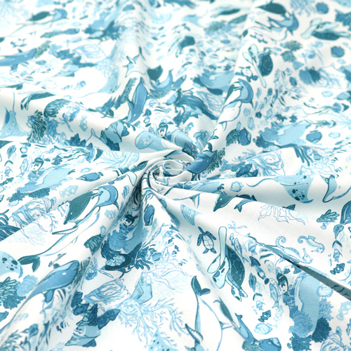 R�cif Vie Oc�an Dauphins Poisson Corail Sarcelle 2