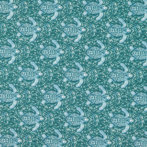 Arrecife Olas Oc&eacute;ano Tortugas Nadando Jade