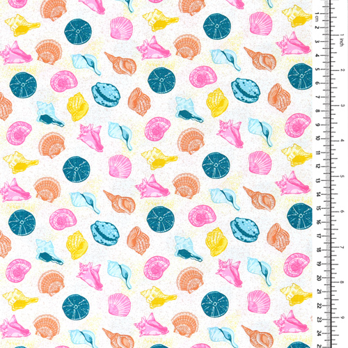 Barriera Oceano Conchiglie Marine Spiaggia Multi 1