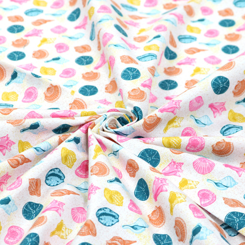 Barriera Oceano Conchiglie Marine Spiaggia Multi 2