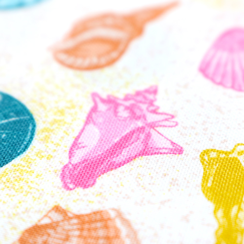 Barriera Oceano Conchiglie Marine Spiaggia Multi 5