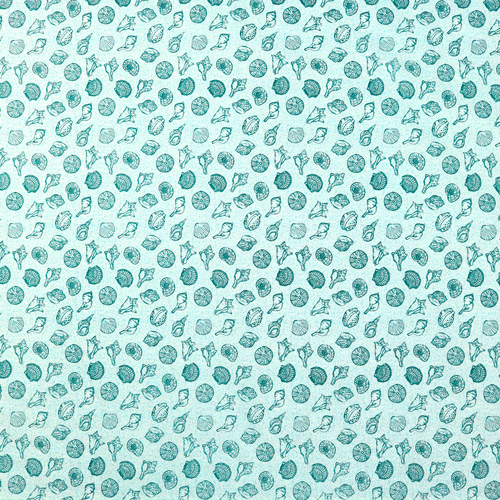Reef Ocean Sea Shells Beach Aqua 4