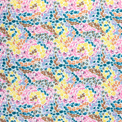 R�cif Oc�an Tropical Poissons Nageant Multi 4