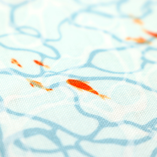 Reef Tropical Ocean Floor fish Aqua 5