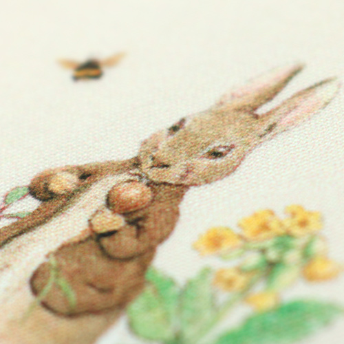 Peter Rabbit Benjamin Bunny Meilleurs Amis Cr�me 5