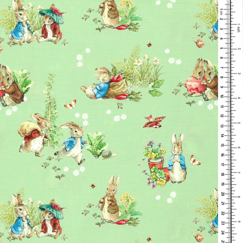 Peter Rabbit Benjamin Bunny Meilleurs Amis Vert 1