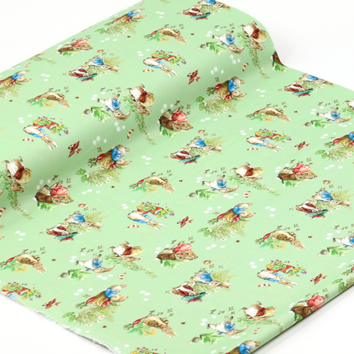 Peter Rabbit Benjamin Bunny Meilleurs Amis Vert 3