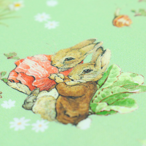 Peter Rabbit Benjamin Bunny Meilleurs Amis Vert 5