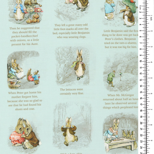 Peter Rabbit Benjamin Bunny Heure Du Conte Bleu 1