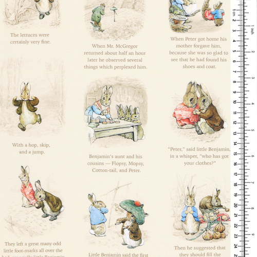 Peter Rabbit Benjamin Bunny Heure Du Conte Cr�me 1