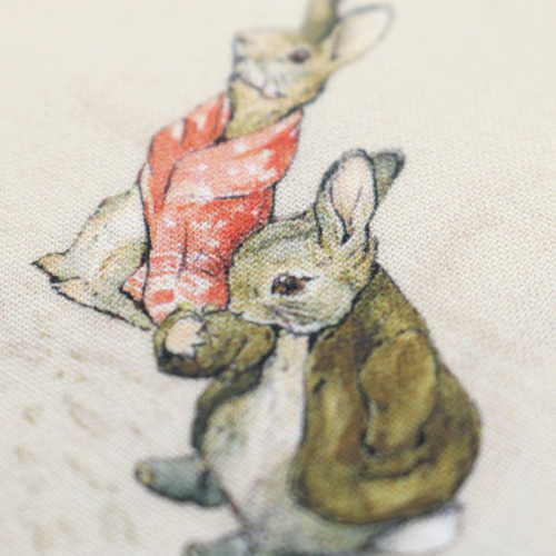 Peter Rabbit Benjamin Bunny Heure Du Conte Cr�me 5
