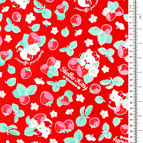Hello Kitty Ichigo Fraise 1
