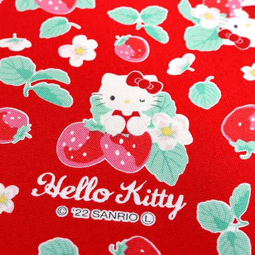 Hello Kitty Ichigo Fraise 5