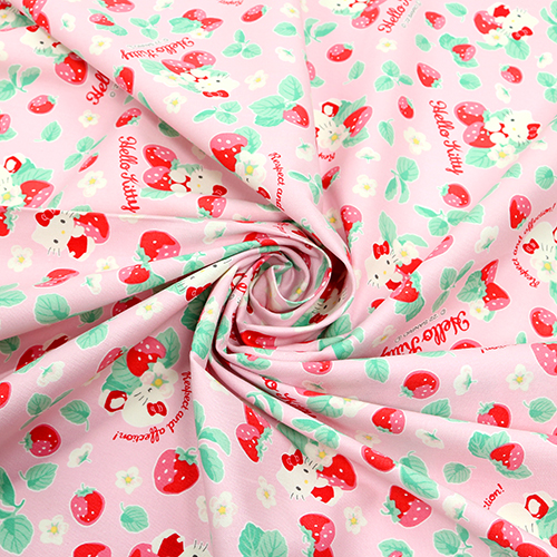 Hello Kitty Ichigo Fresa 2