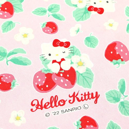 Hello Kitty Ichigo Fresa 5