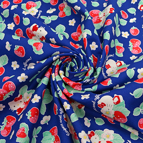 Hello Kitty Ichigo Erdbeere 2
