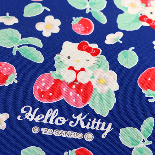 Hello Kitty Ichigo Erdbeere 5