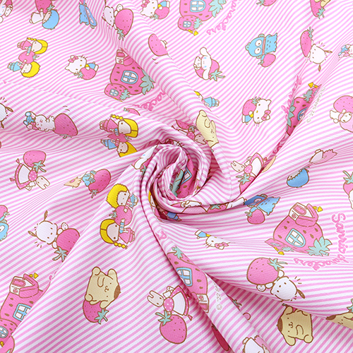 Sanrio Characters Strawberry House 2