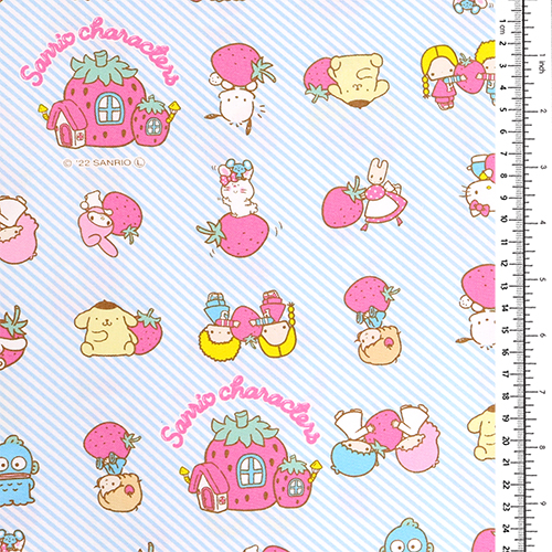 Sanrio Characters Strawberry House 1