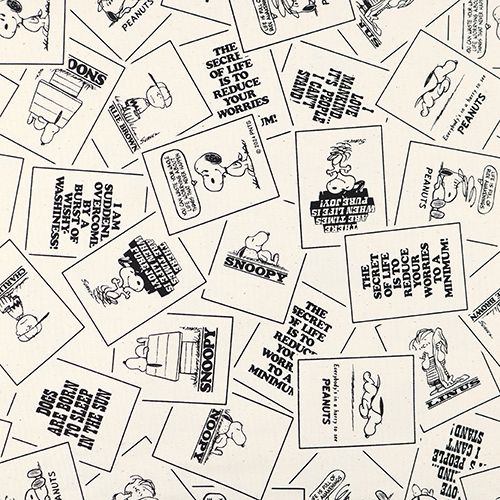 Cartes De Citations Snoopy 75e Anniversaire Naturel Tissu par Sanrio