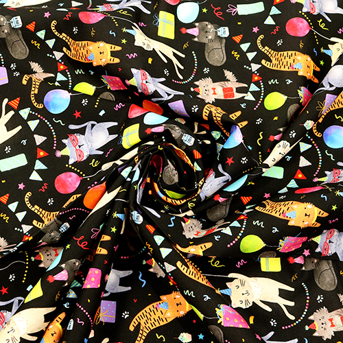 Tanzparty Katzen Bunt 2