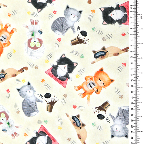 Chats Mignons Effrontés Prenant Soin D'Eux 1