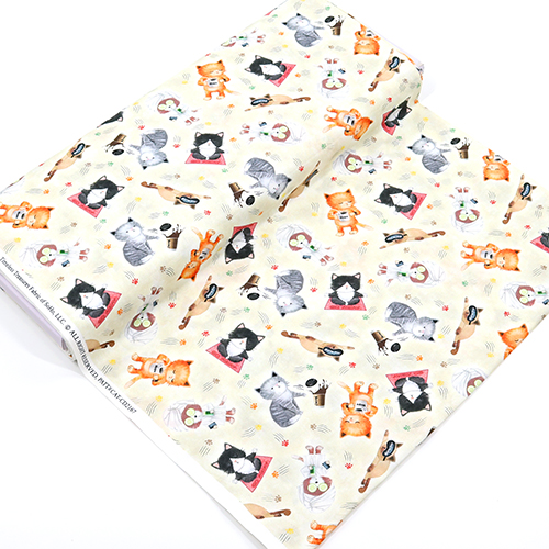 Chats Mignons Effrontés Prenant Soin D'Eux 3