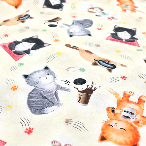 Chats Mignons Effrontés Prenant Soin D'Eux 5