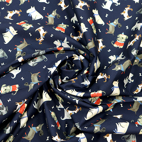 Chiens �parpill�s Amis Poilus Pour Toujours 2