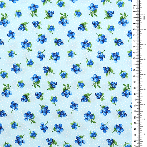 Myrtilles sur pois fruits 1