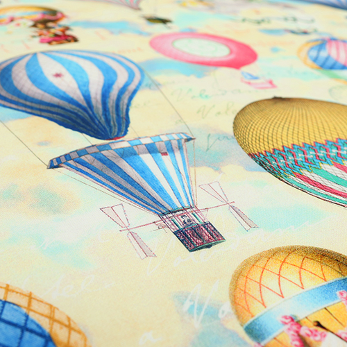 Ballons À Air Chaud Admettent Un 5